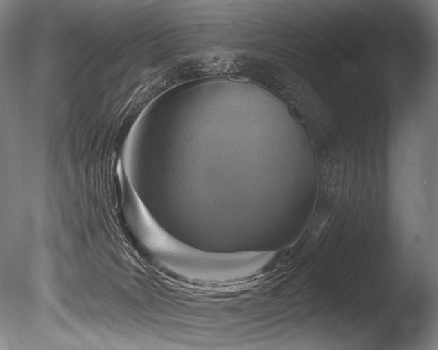 X0000086050035200703231319