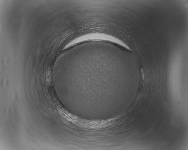 X0000086050037200703231319