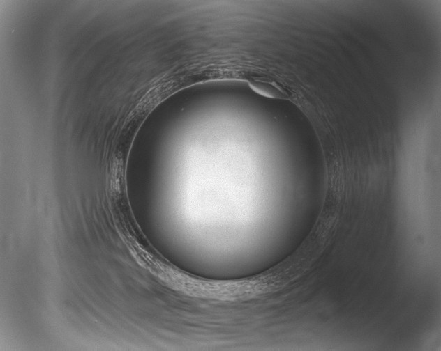 X0000086050038200703231319