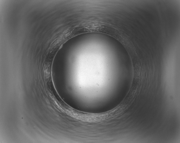 X0000086050040200703231319