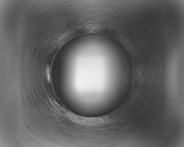 X0000086050042200703231319