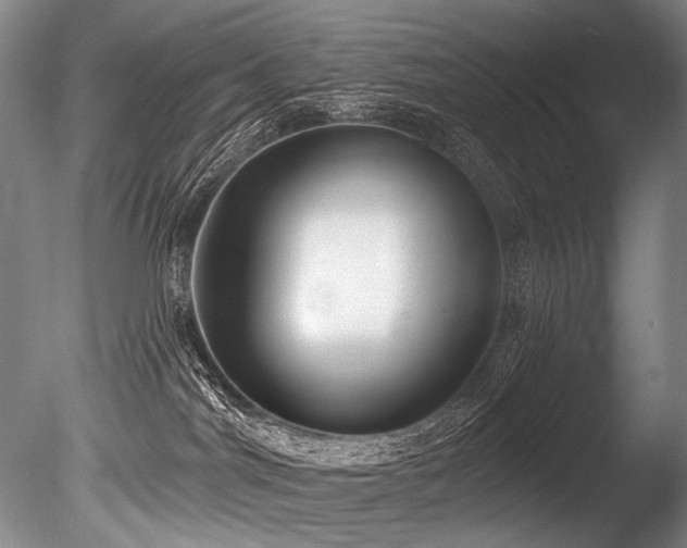 X0000086050044200703231319