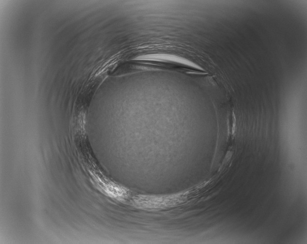 X0000086050045200703231318