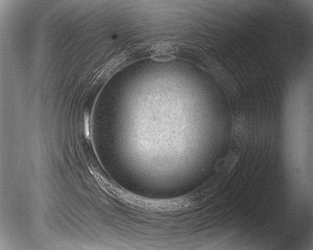 X0000086050046200703231318
