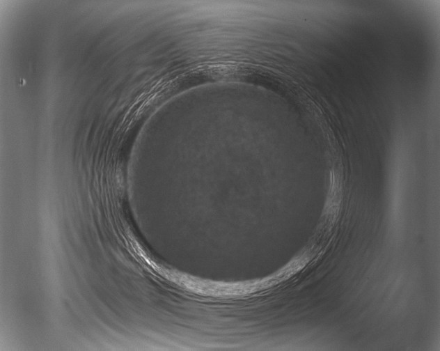 X0000086050048200703231318