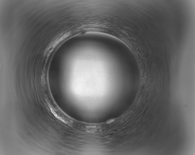 X0000086050050200703231318