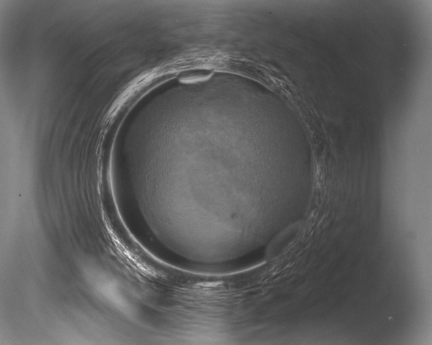 X0000086050054200703231318