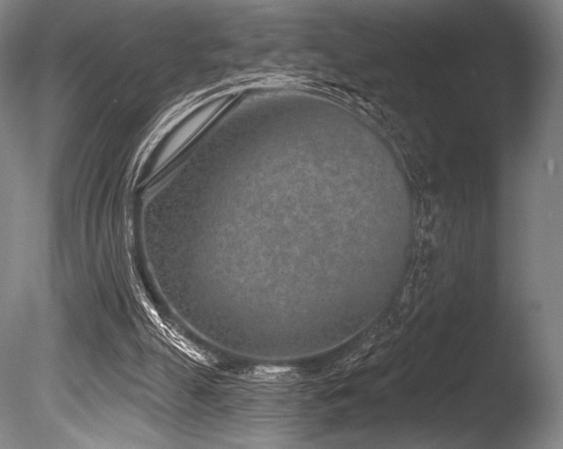 X0000086050055200703231318