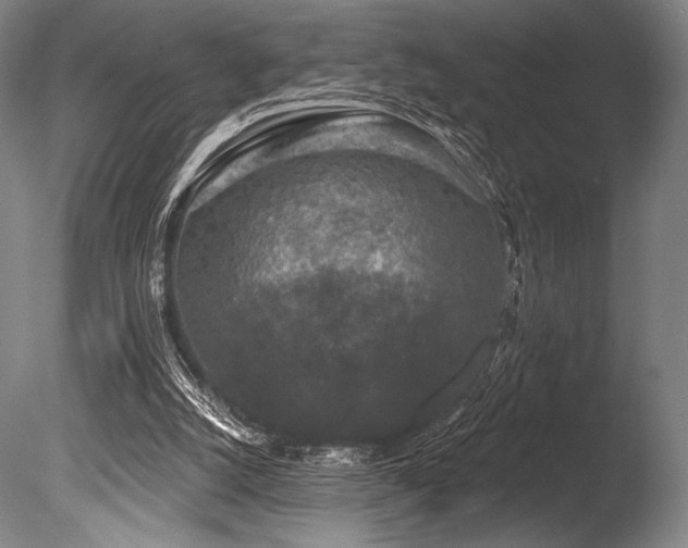 X0000086050056200703231318