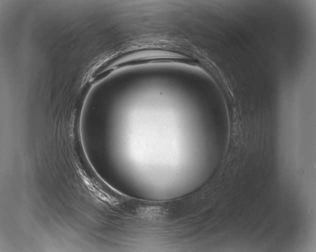 X0000086050058200703231318