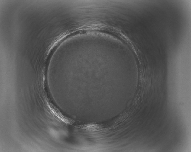 X0000086050059200703231318
