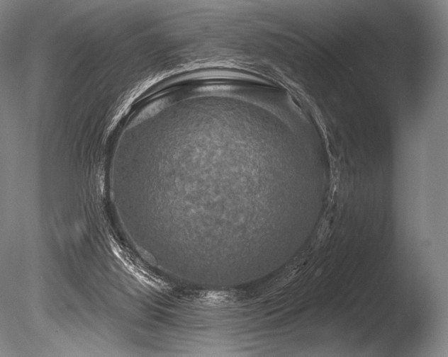 X0000086050060200703231318