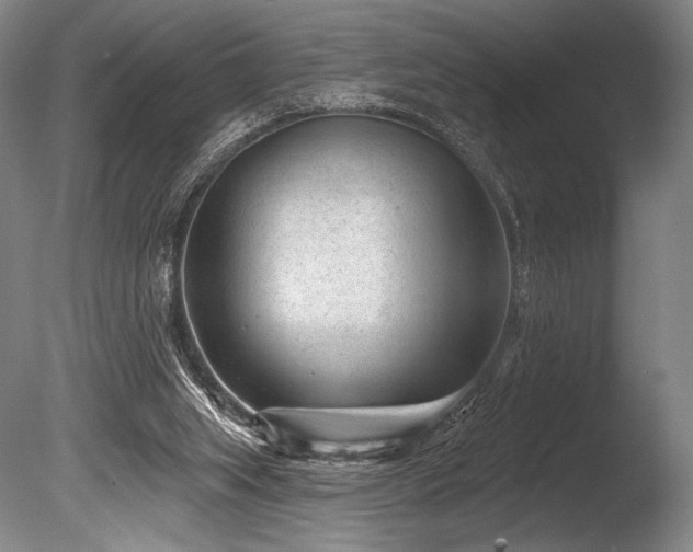 X0000086050063200703231318