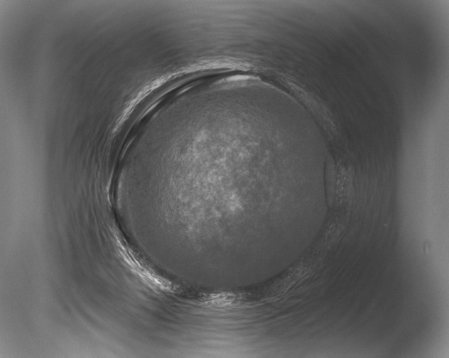 X0000086050064200703231318