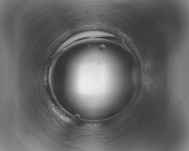 X0000086050065200703231318