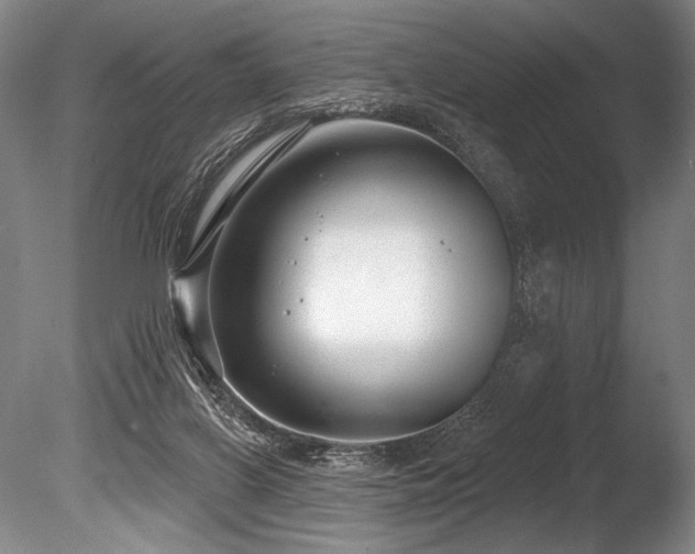 X0000086050070200703231318