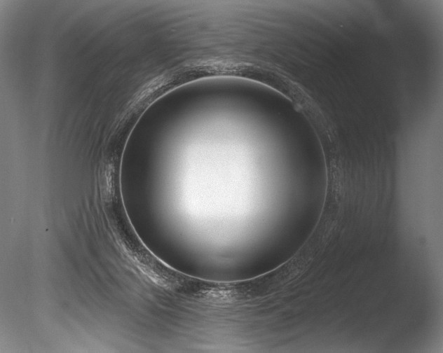 X0000086050071200703231318