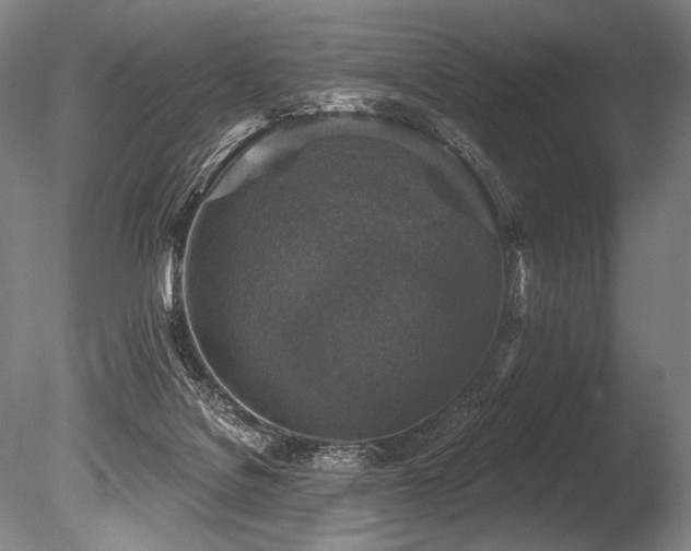 X0000086050076200703231318