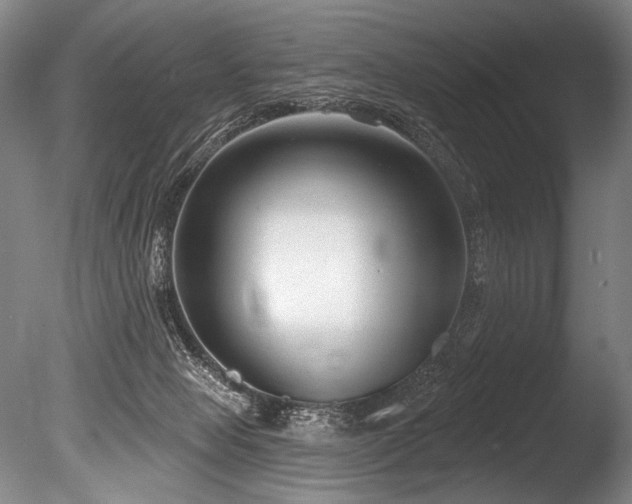 X0000086050077200703231318