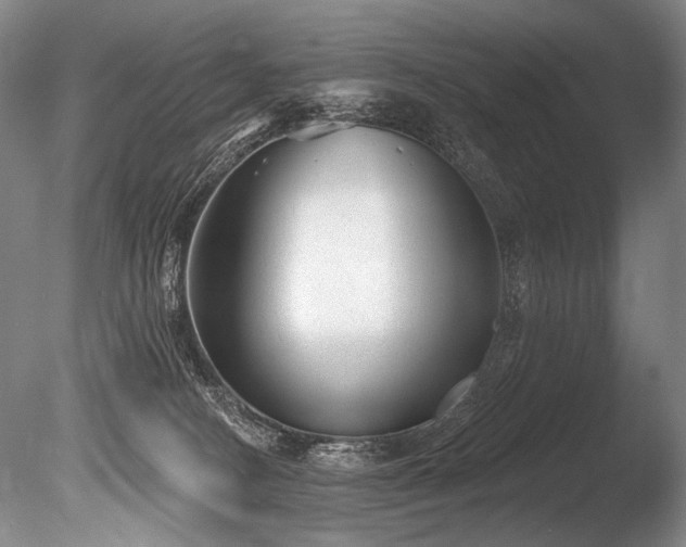 X0000086050082200703231318