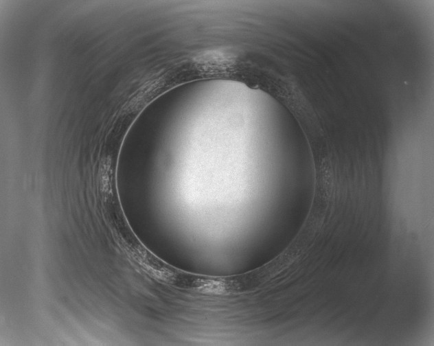 X0000086050083200703231318