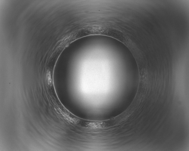 X0000086050089200703231318