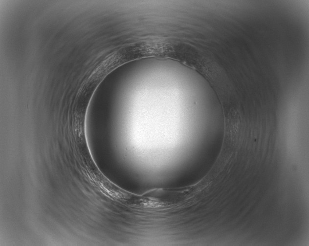 X0000086050091200703231318