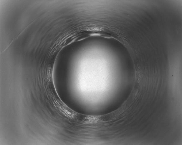 X0000086050093200703231318