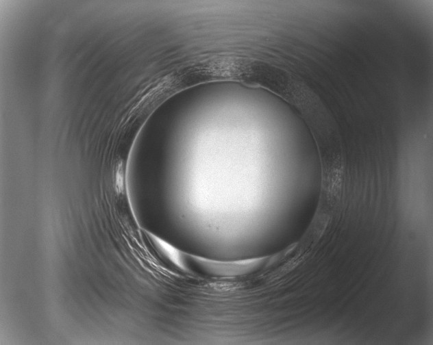 X0000086050095200703231318