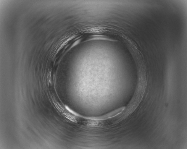 X0000086050096200703231318