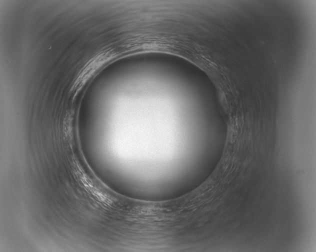 X0000086050098200703231318