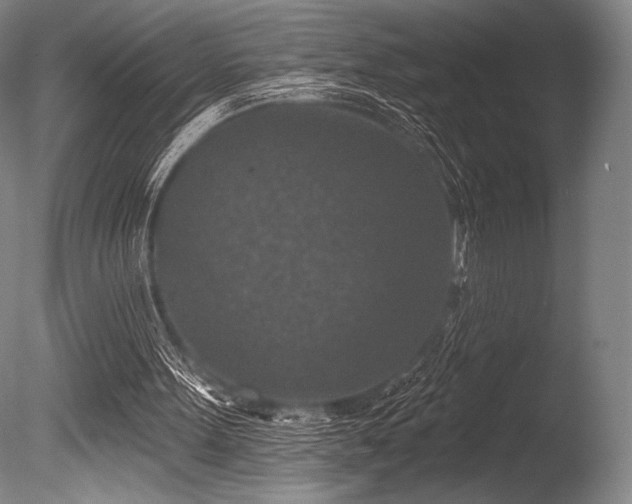 X0000086050099200703231318