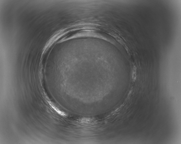 X0000086050101200703231318