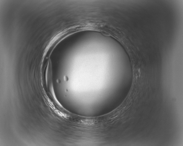 X0000086050102200703231318
