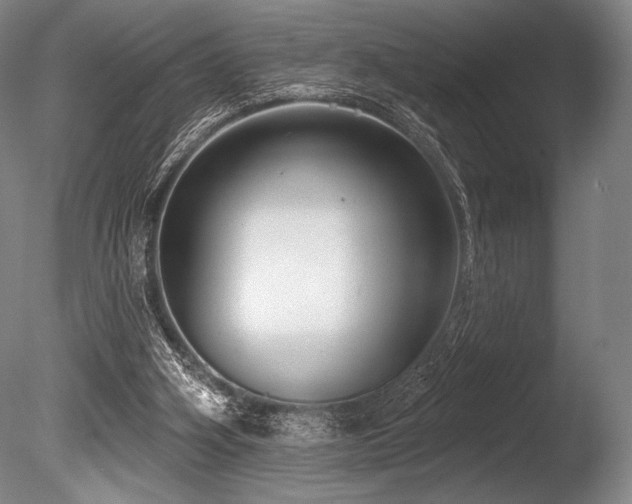 X0000086050106200703231317