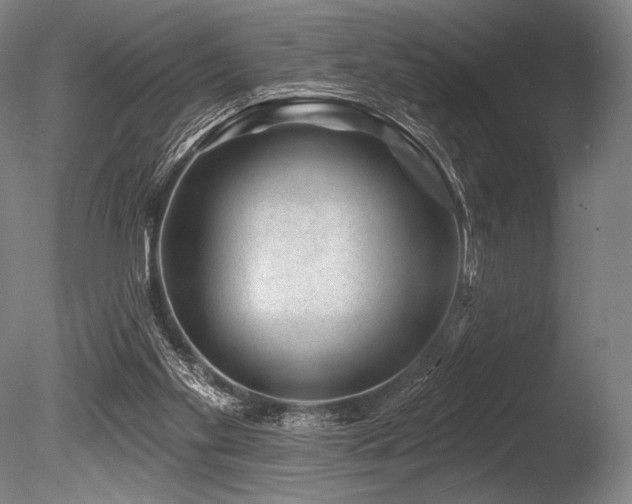 X0000086050109200703231317