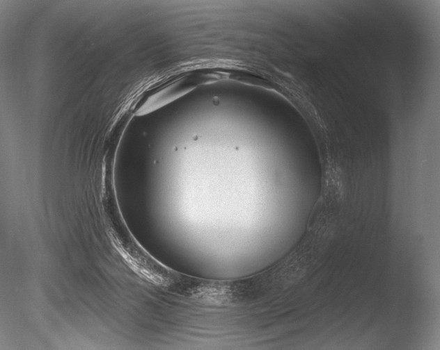 X0000086050110200703231317
