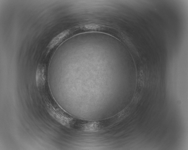 X0000086050116200703231317