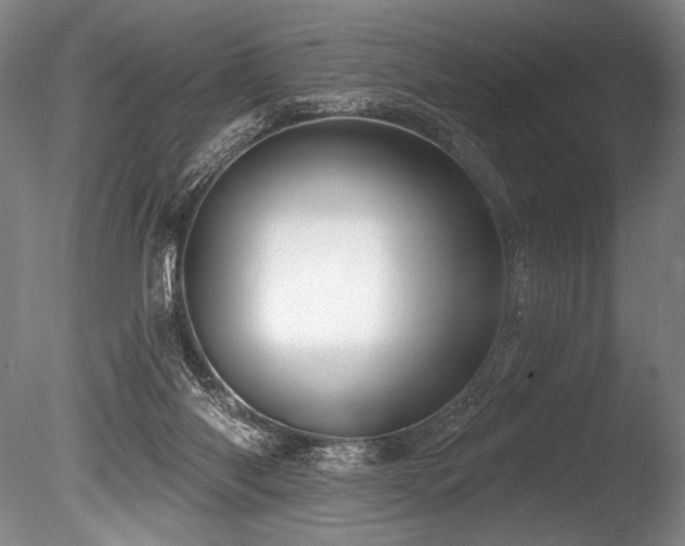 X0000086050118200703231317
