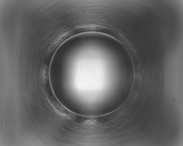 X0000086050119200703231317