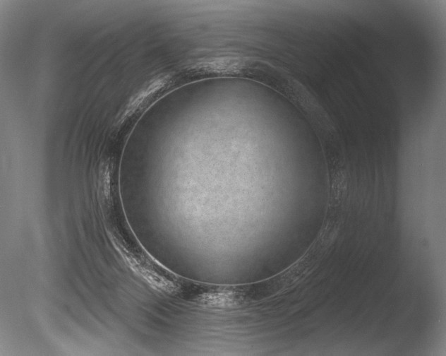 X0000086050120200703231317