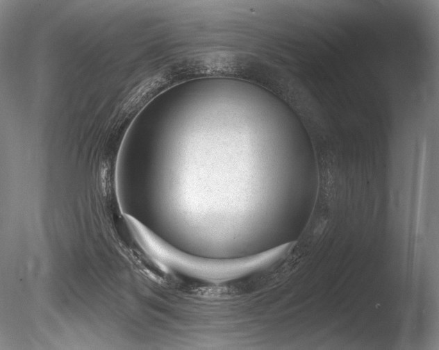 X0000086050123200703231317