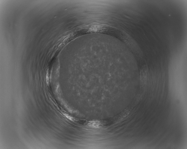 X0000086050127200703231317