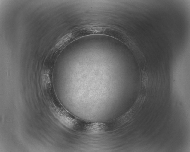 X0000086050128200703231317