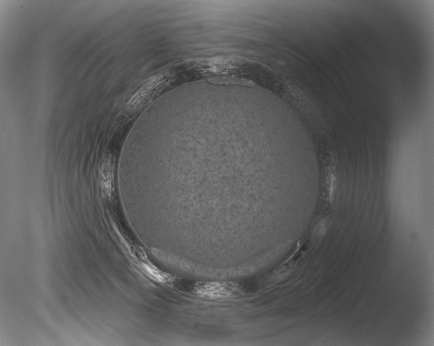 X0000086050129200703231317