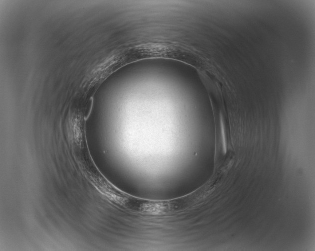 X0000086050131200703231317