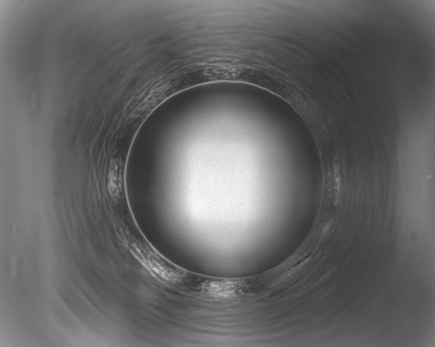 X0000086050134200703231317