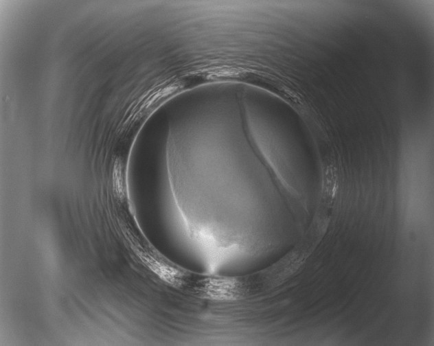 X0000086050143200703231317