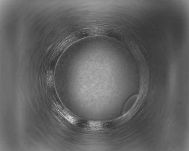 X0000086050144200703231317