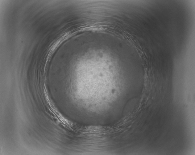 X0000086050145200703231316